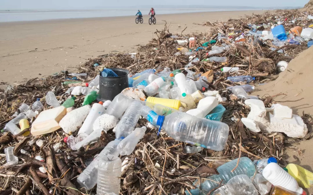 Survey finds that 60 firms are responsible for half of world’s plastic pollution