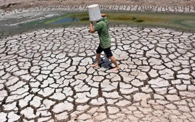 Vietnam province declares state of emergency over drought