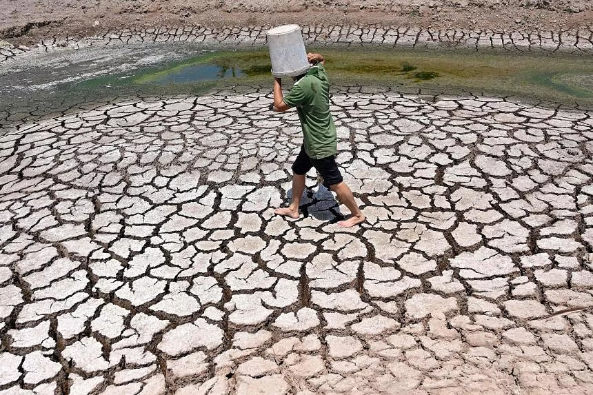 Vietnam province declares state of emergency over drought